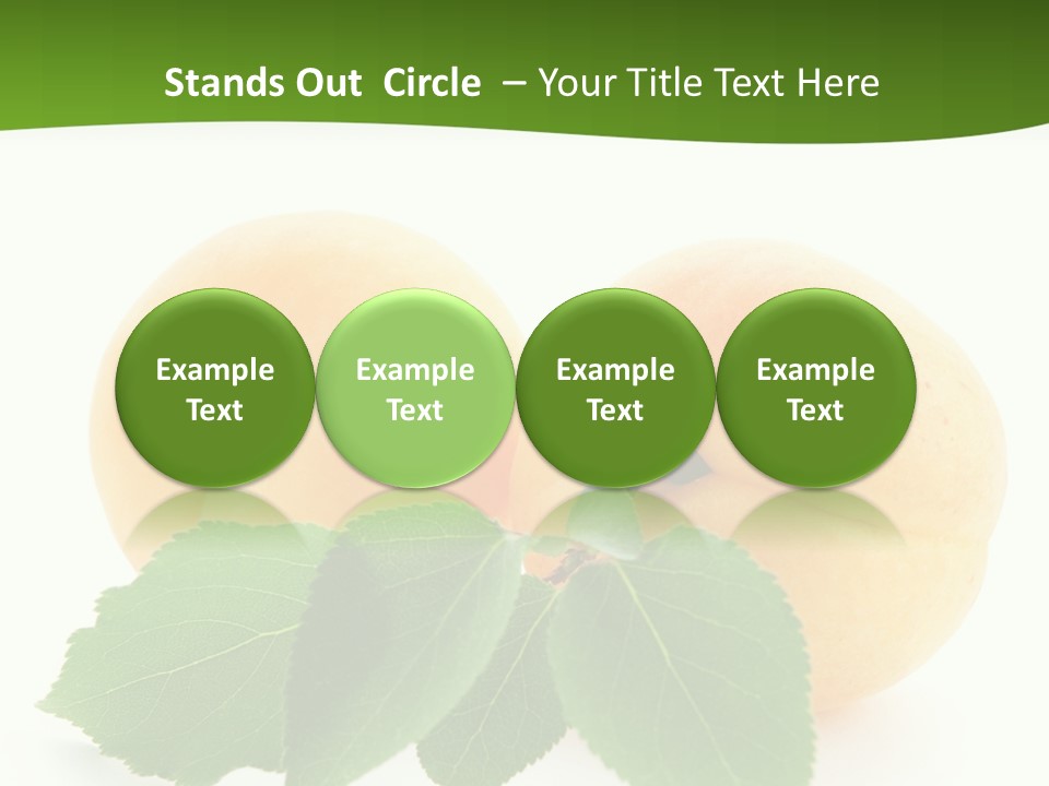 Spring Product Dessert PowerPoint Template