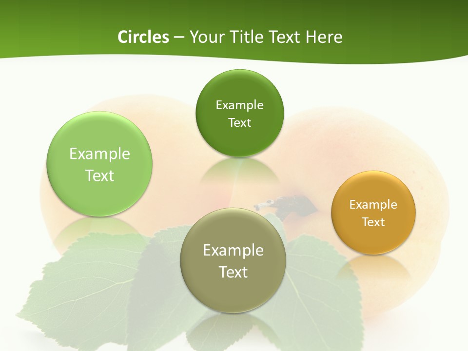 Spring Product Dessert PowerPoint Template