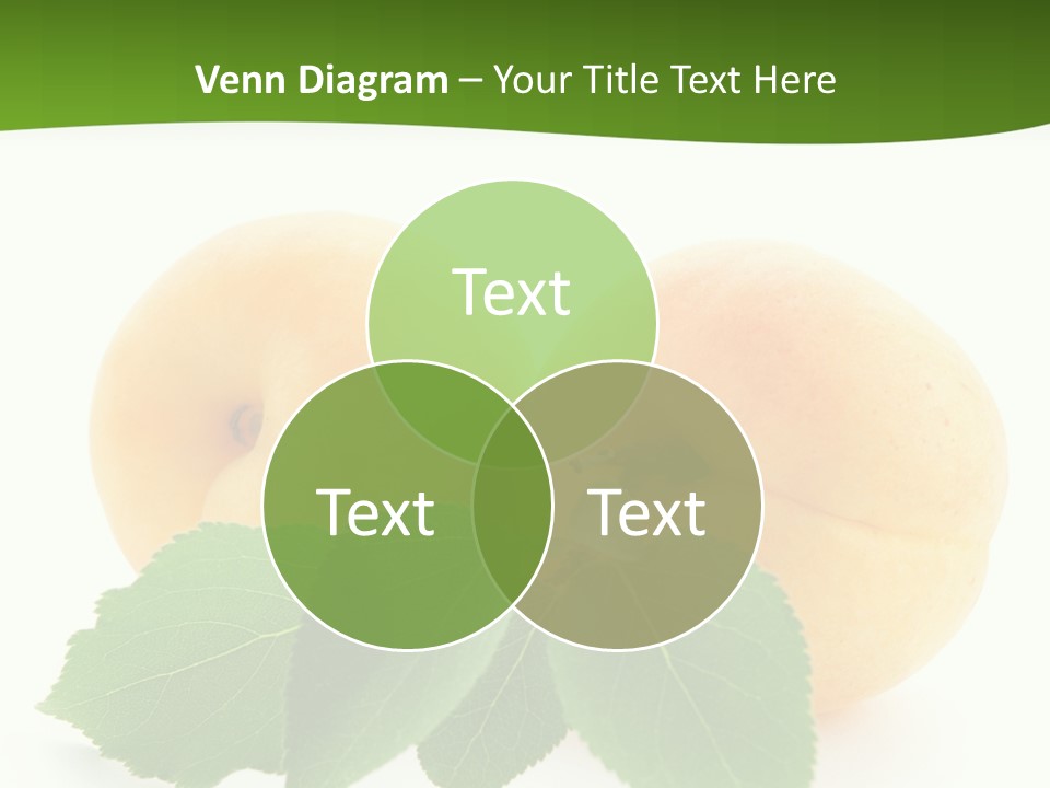 Spring Product Dessert PowerPoint Template