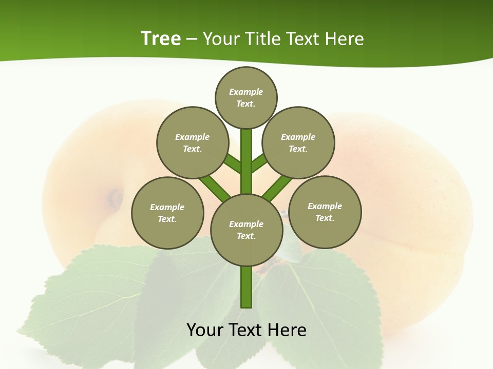 Spring Product Dessert PowerPoint Template