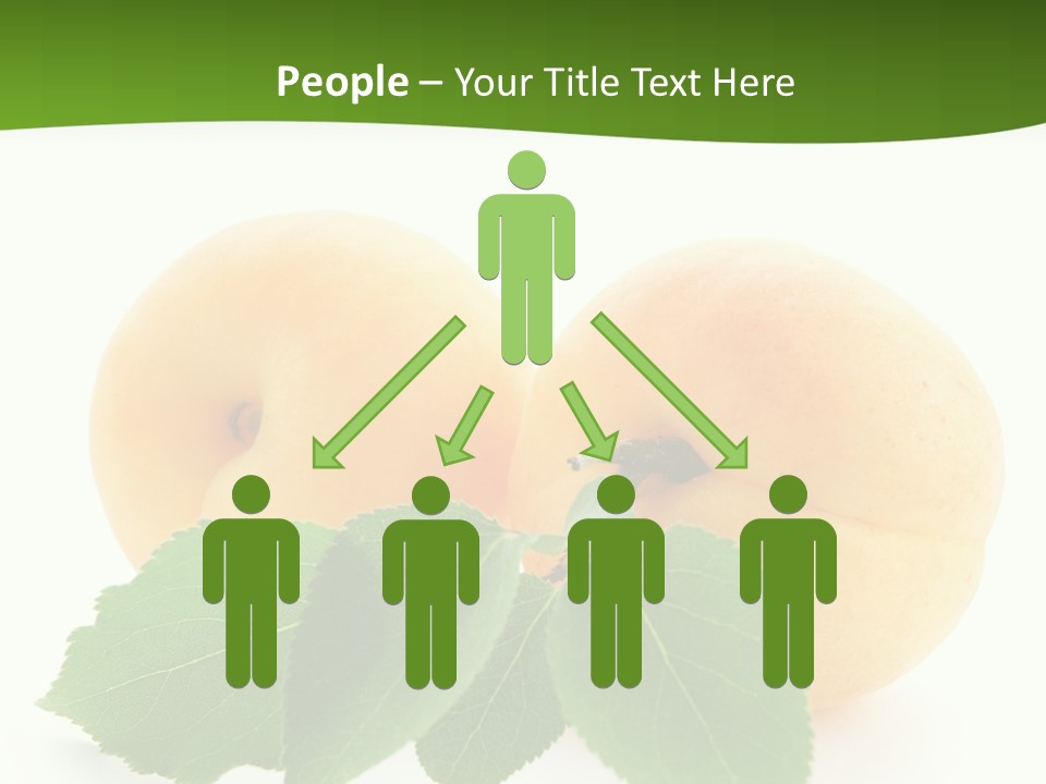 Spring Product Dessert PowerPoint Template