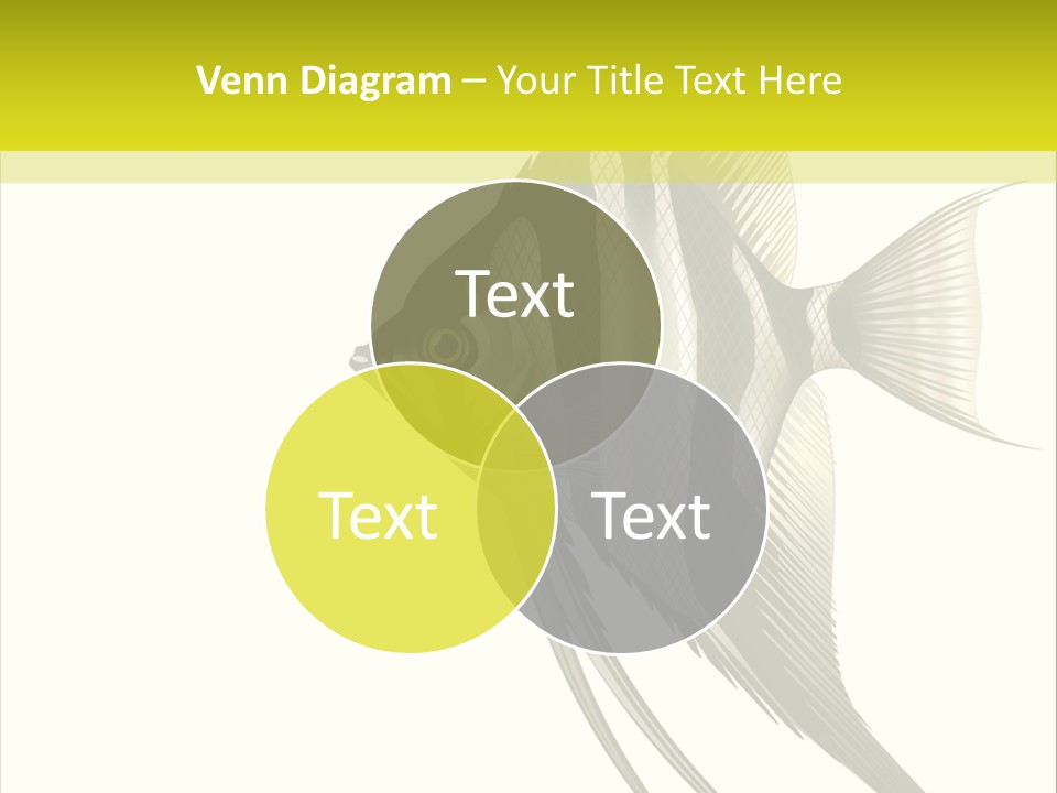 Opening Carnival Sphere PowerPoint Template