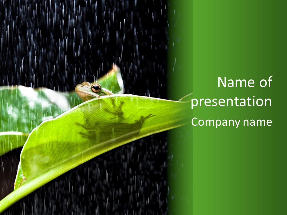 Watching Close Up Copyspace PowerPoint Template