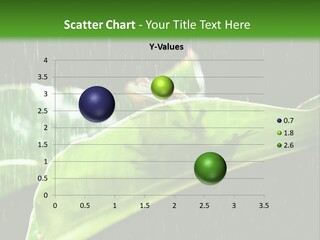 Watching Close Up Copyspace PowerPoint Template