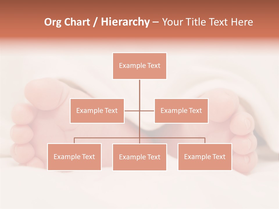 Birth Boy Macro PowerPoint Template
