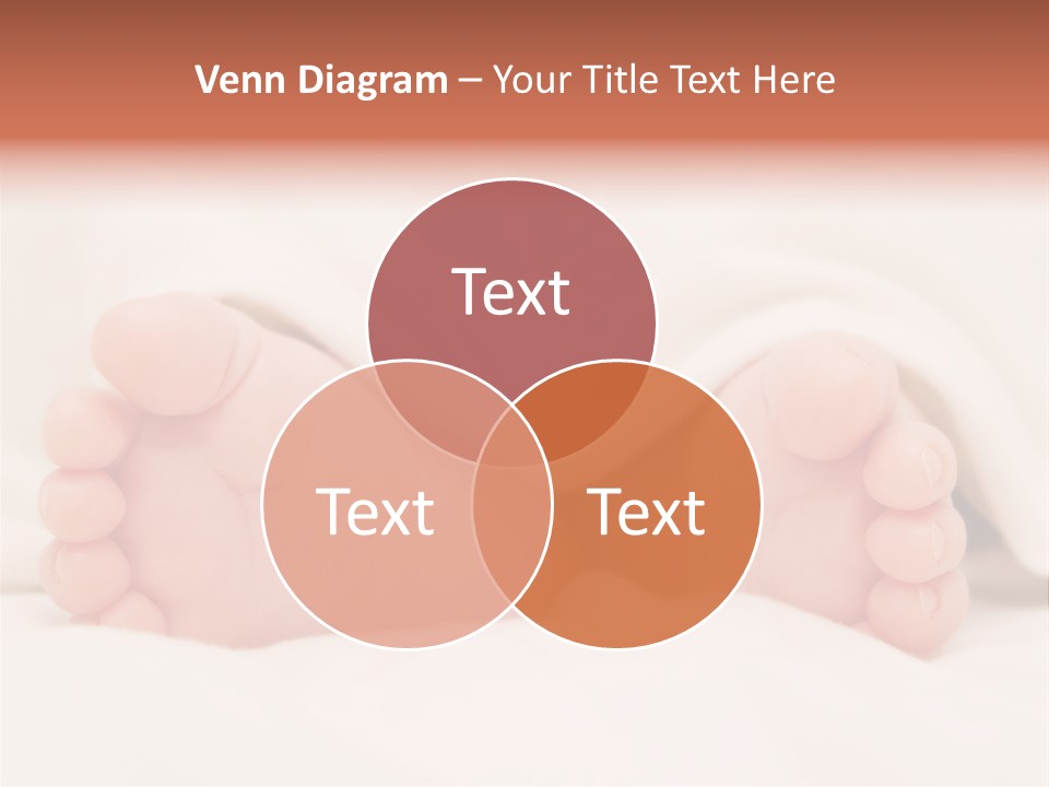 Birth Boy Macro PowerPoint Template