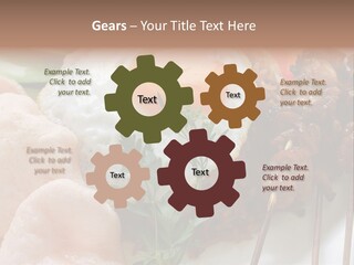 Satay Plate Gourmet PowerPoint Template