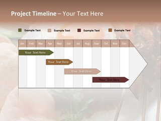 Satay Plate Gourmet PowerPoint Template