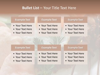 Satay Plate Gourmet PowerPoint Template