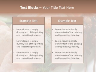 Satay Plate Gourmet PowerPoint Template