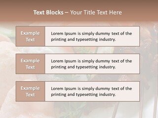 Satay Plate Gourmet PowerPoint Template