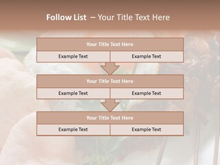 Satay Plate Gourmet PowerPoint Template