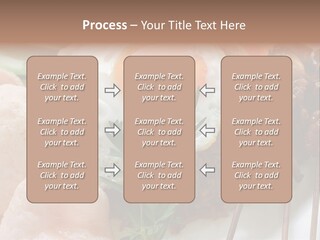 Satay Plate Gourmet PowerPoint Template