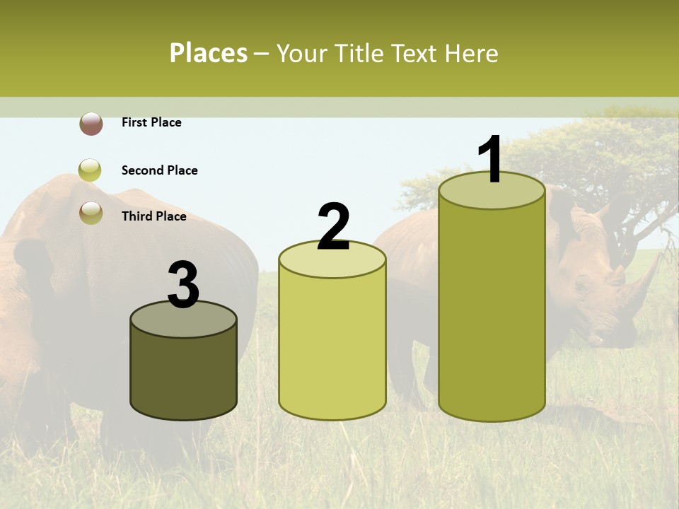 Mammal Ceratotherium Simum Rhino PowerPoint Template