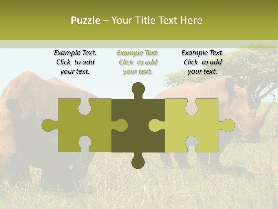 Mammal Ceratotherium Simum Rhino PowerPoint Template