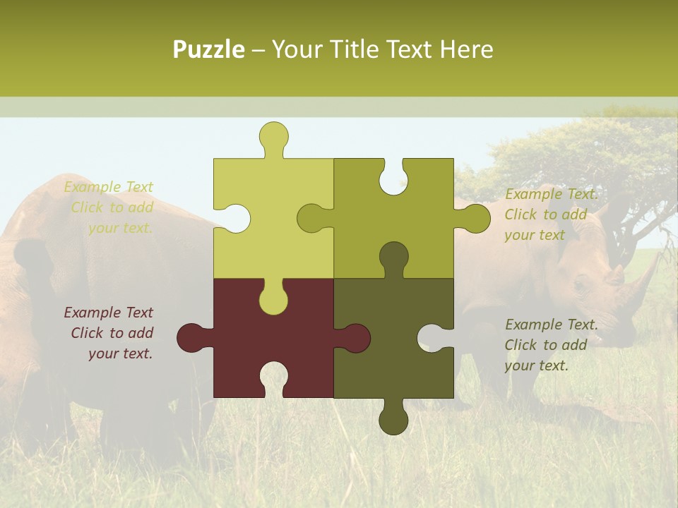 Mammal Ceratotherium Simum Rhino PowerPoint Template