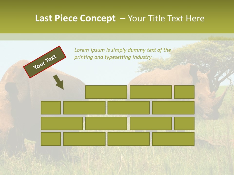 Mammal Ceratotherium Simum Rhino PowerPoint Template