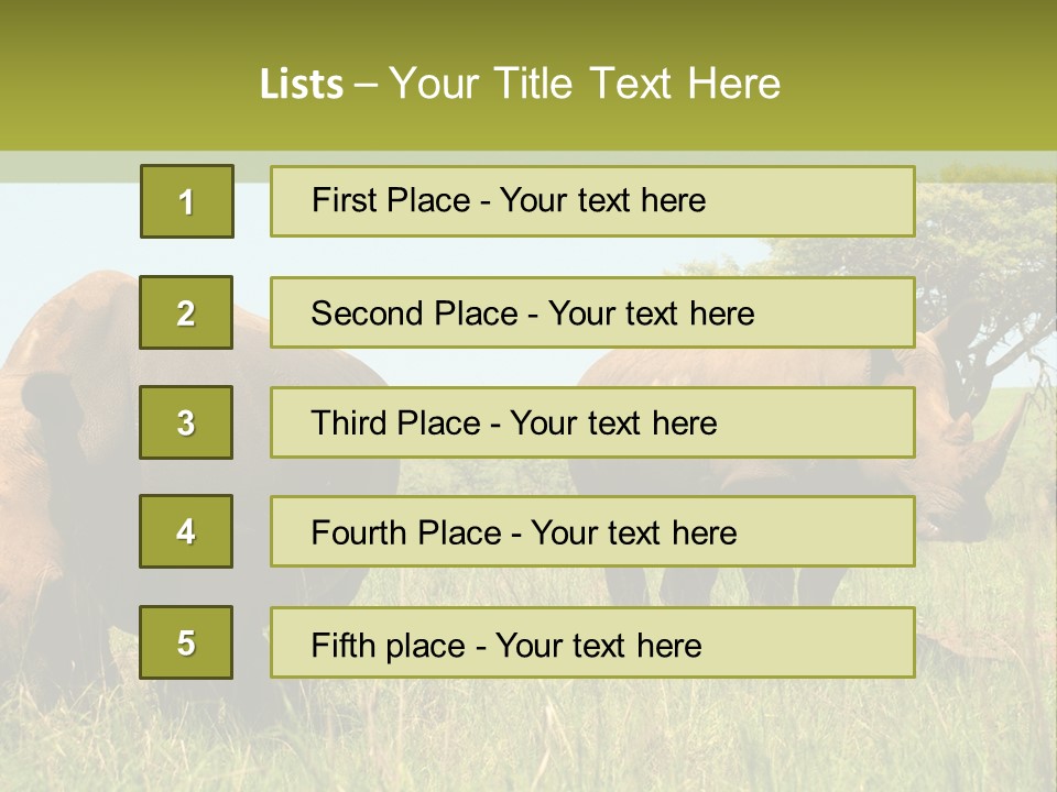 Mammal Ceratotherium Simum Rhino PowerPoint Template
