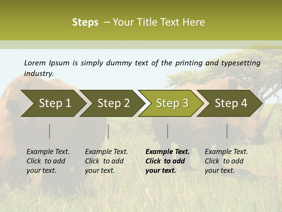 Mammal Ceratotherium Simum Rhino PowerPoint Template