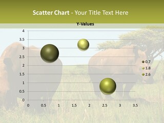 Mammal Ceratotherium Simum Rhino PowerPoint Template