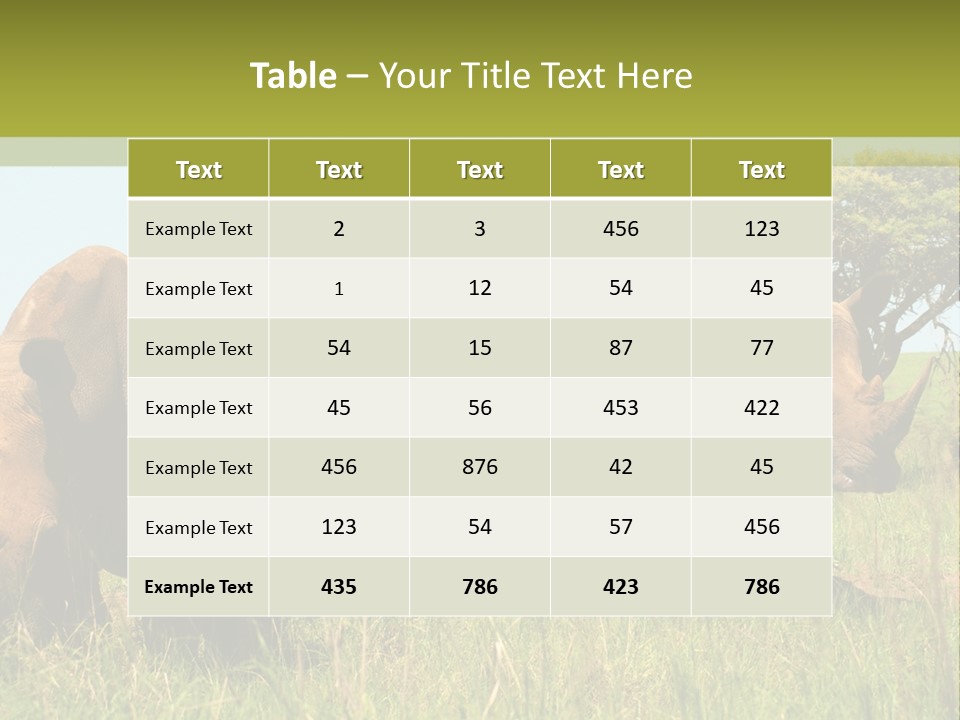 Mammal Ceratotherium Simum Rhino PowerPoint Template