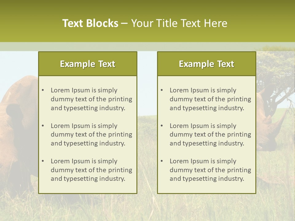 Mammal Ceratotherium Simum Rhino PowerPoint Template
