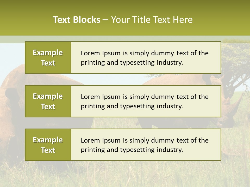 Mammal Ceratotherium Simum Rhino PowerPoint Template