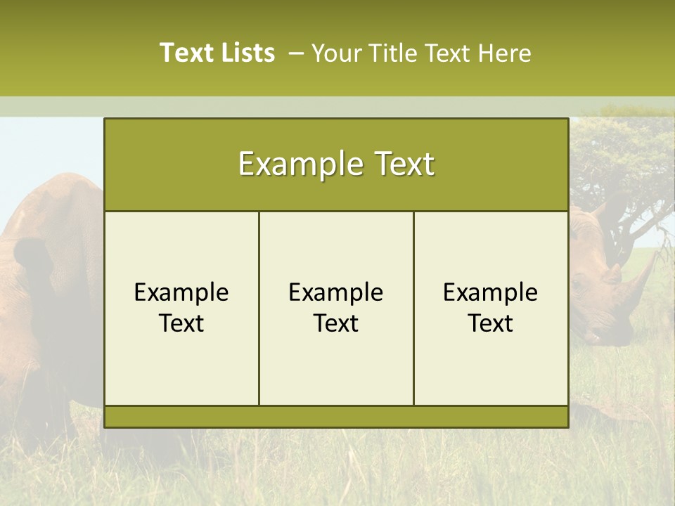 Mammal Ceratotherium Simum Rhino PowerPoint Template
