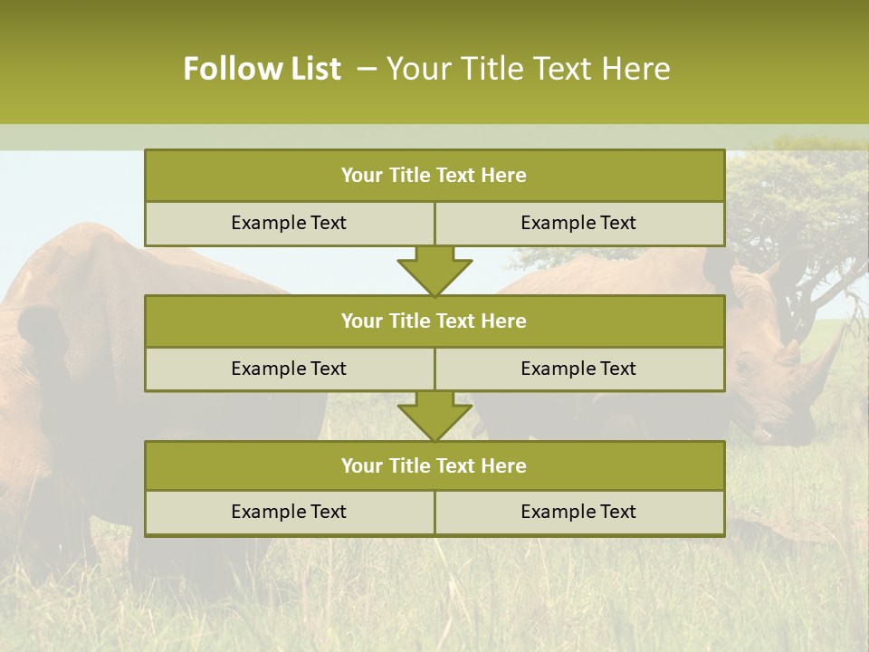 Mammal Ceratotherium Simum Rhino PowerPoint Template