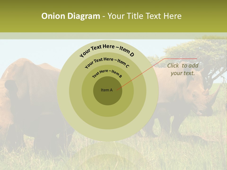 Mammal Ceratotherium Simum Rhino PowerPoint Template