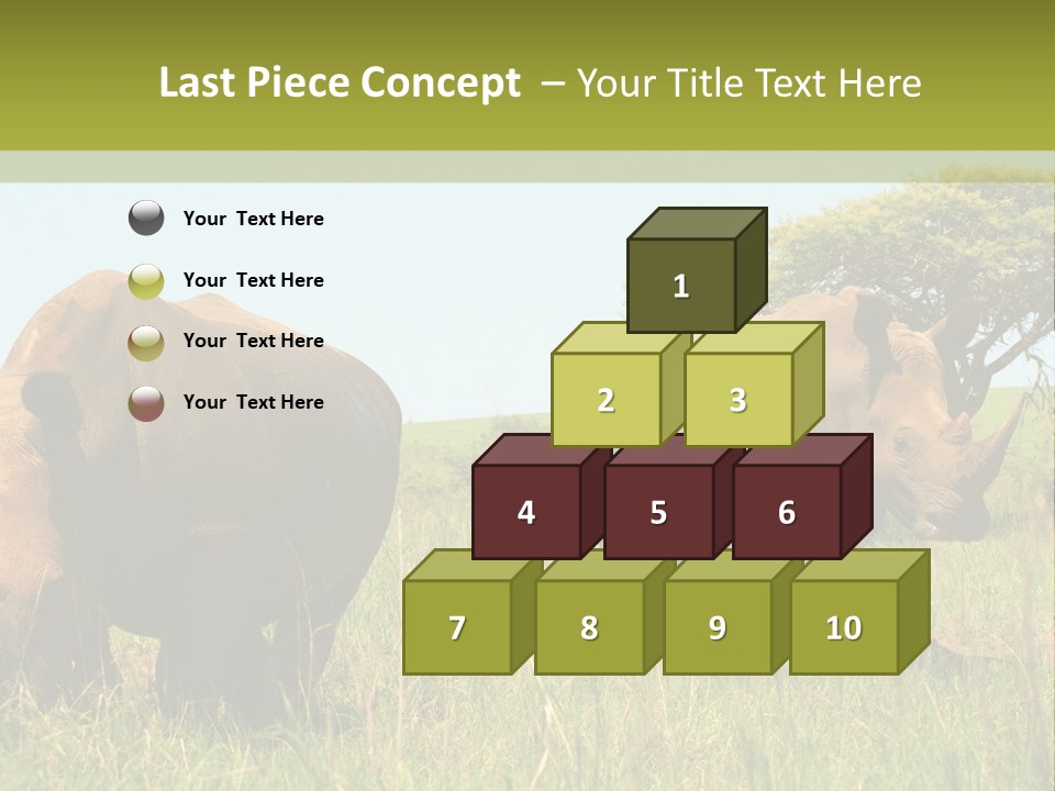 Mammal Ceratotherium Simum Rhino PowerPoint Template