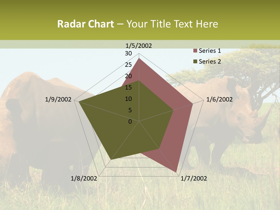 Mammal Ceratotherium Simum Rhino PowerPoint Template
