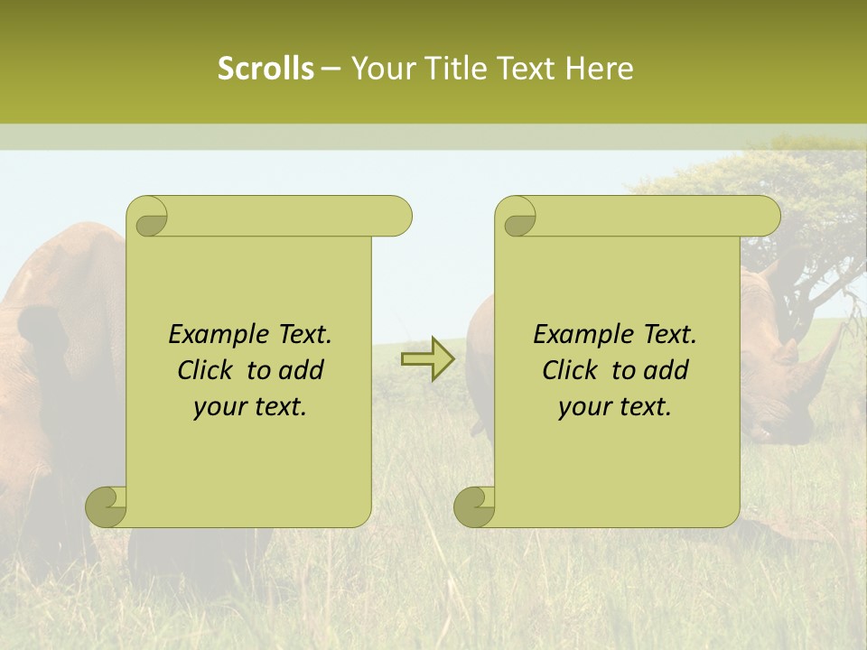 Mammal Ceratotherium Simum Rhino PowerPoint Template