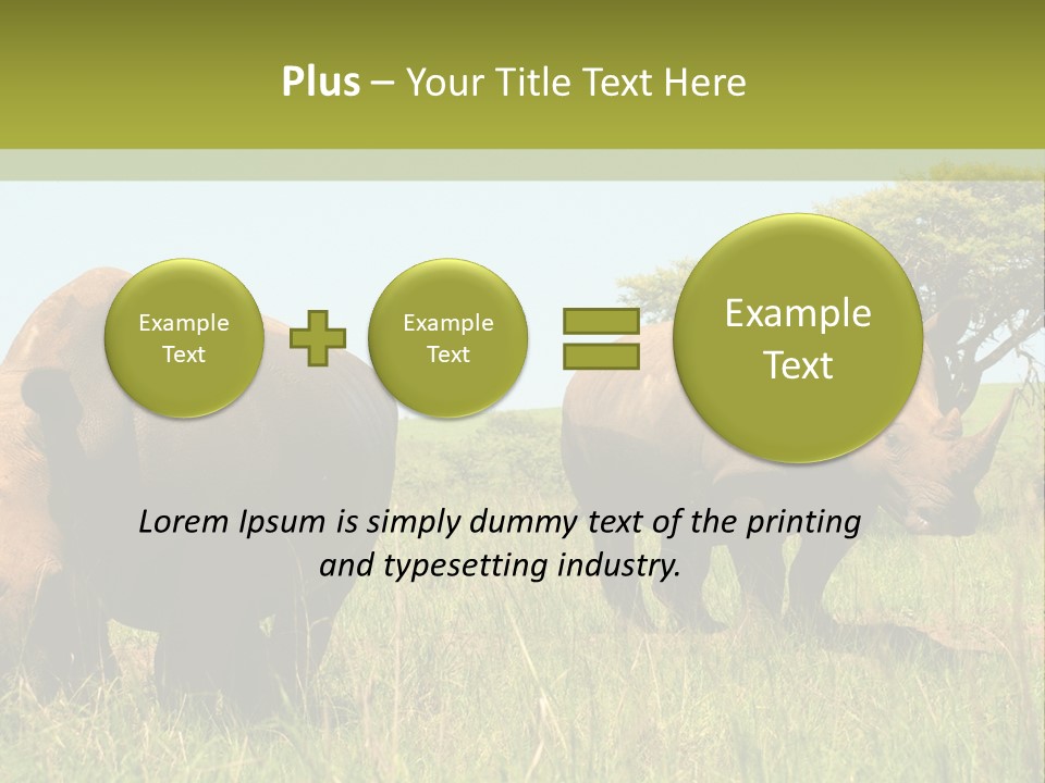 Mammal Ceratotherium Simum Rhino PowerPoint Template