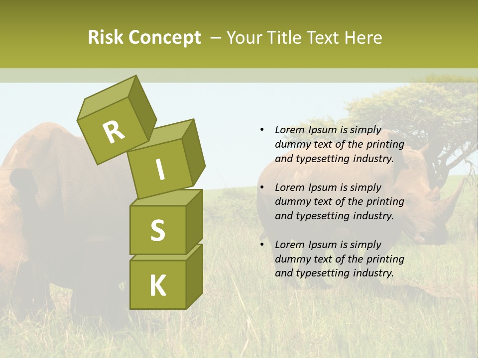Mammal Ceratotherium Simum Rhino PowerPoint Template