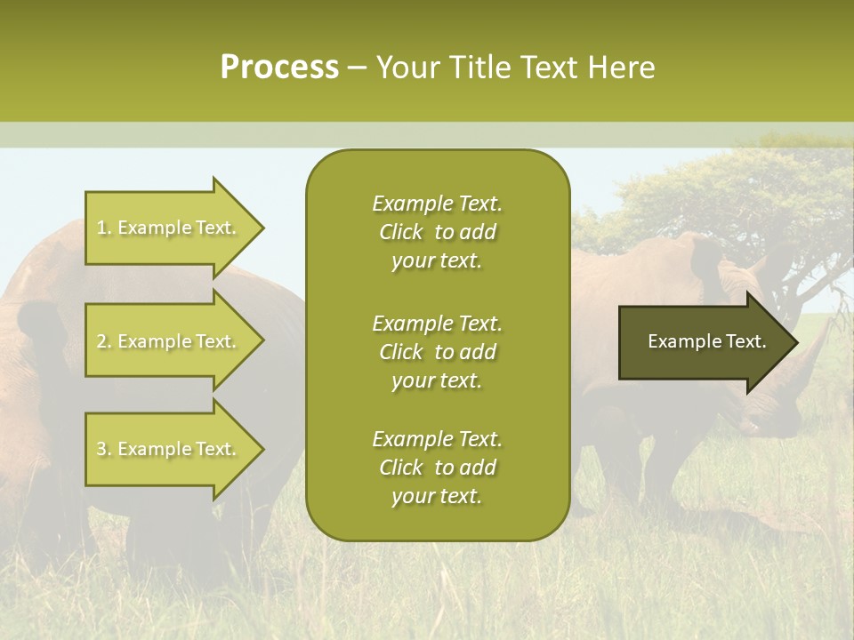 Mammal Ceratotherium Simum Rhino PowerPoint Template