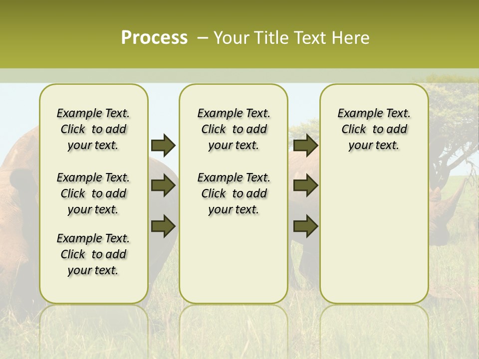 Mammal Ceratotherium Simum Rhino PowerPoint Template