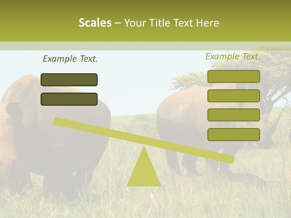 Mammal Ceratotherium Simum Rhino PowerPoint Template