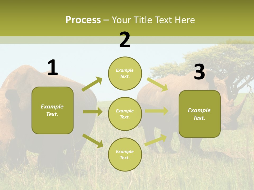 Mammal Ceratotherium Simum Rhino PowerPoint Template