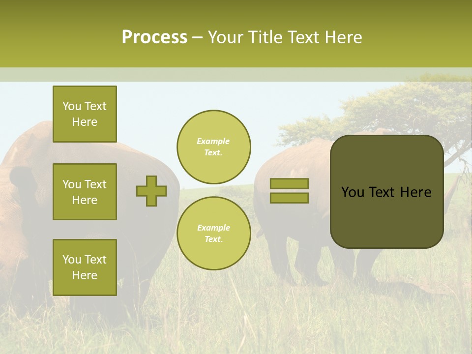 Mammal Ceratotherium Simum Rhino PowerPoint Template