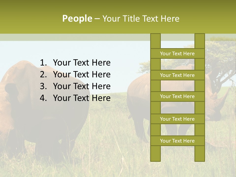 Mammal Ceratotherium Simum Rhino PowerPoint Template