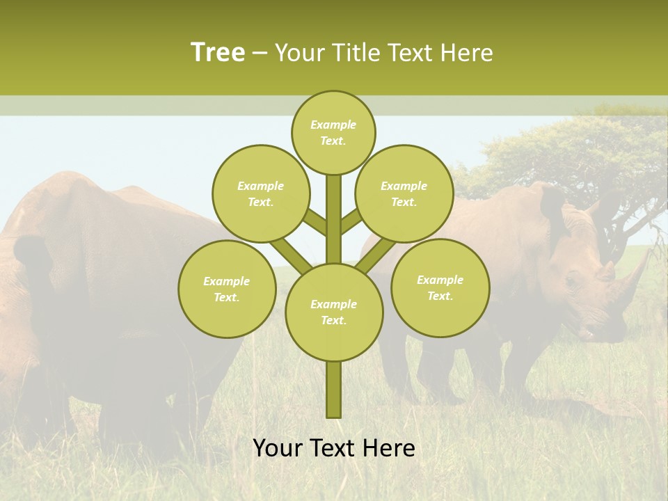 Mammal Ceratotherium Simum Rhino PowerPoint Template