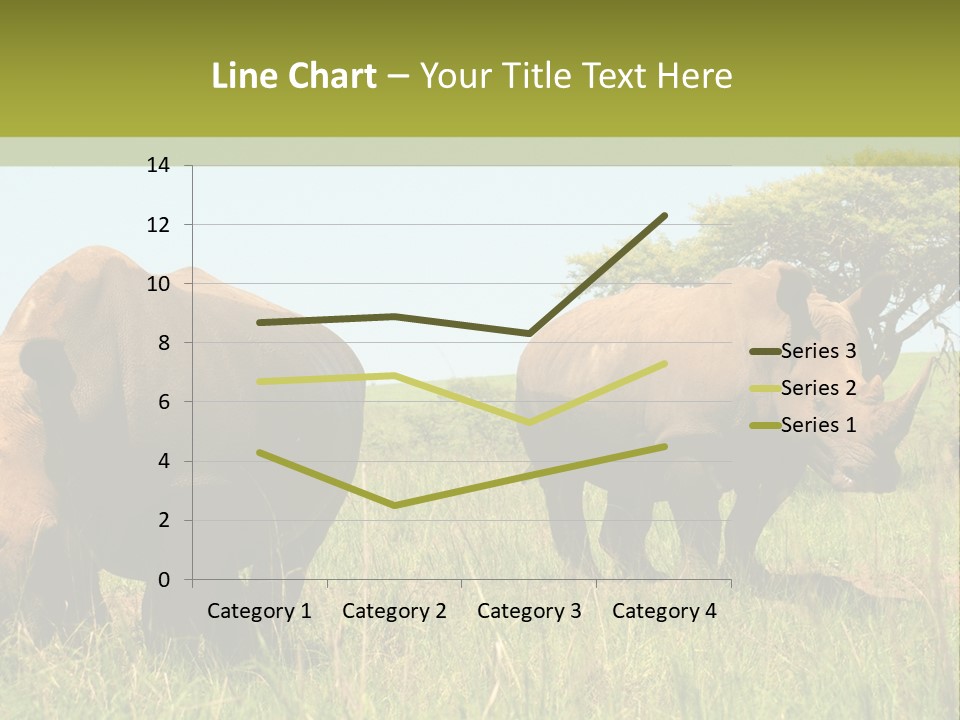 Mammal Ceratotherium Simum Rhino PowerPoint Template
