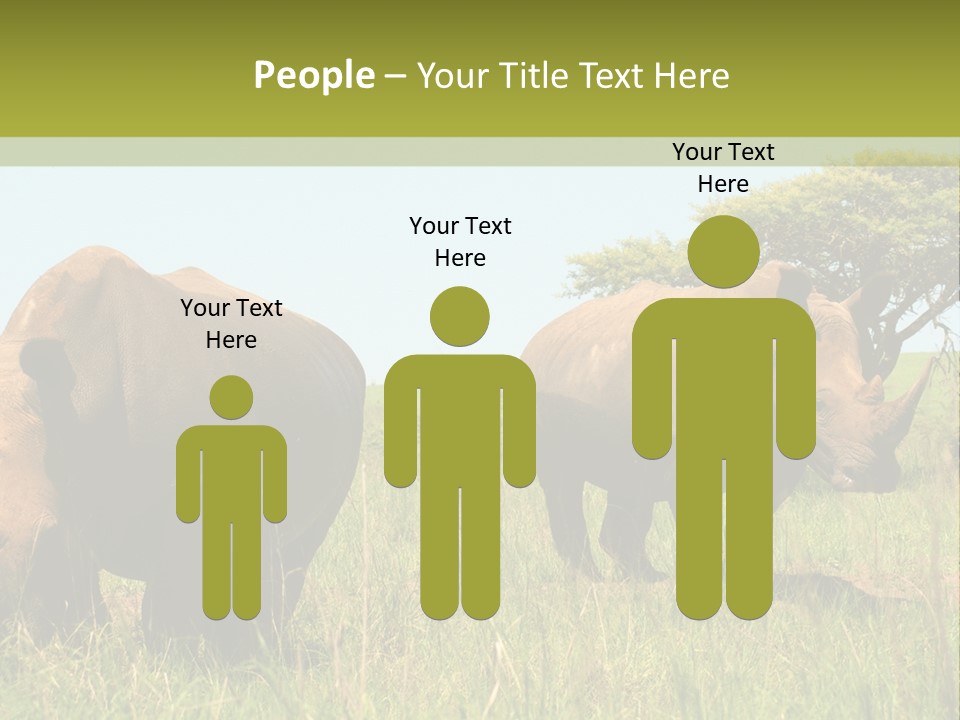 Mammal Ceratotherium Simum Rhino PowerPoint Template
