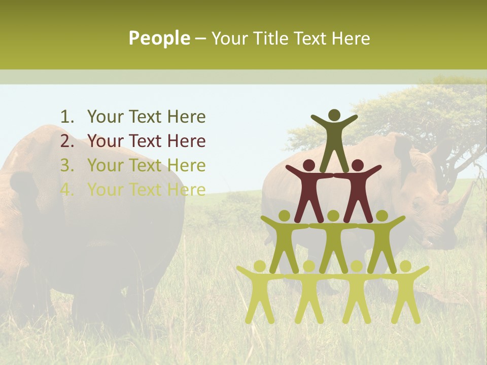 Mammal Ceratotherium Simum Rhino PowerPoint Template