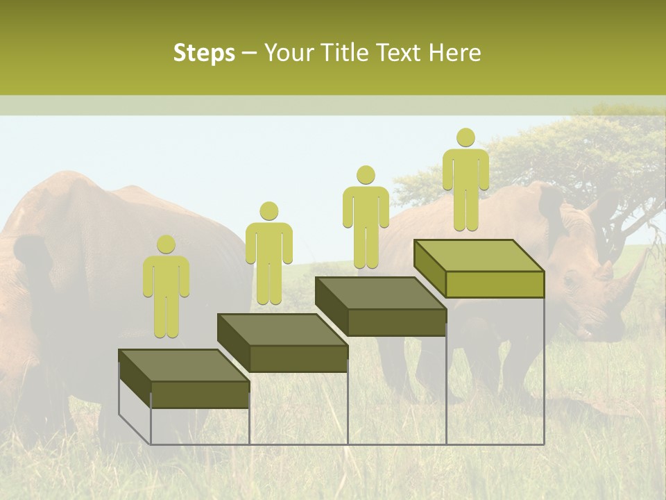 Mammal Ceratotherium Simum Rhino PowerPoint Template