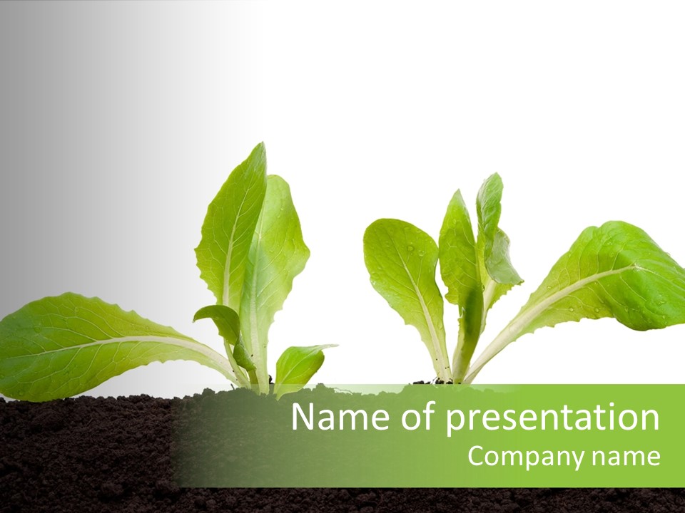 Growing Farming Agriculture PowerPoint Template