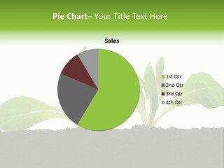 Growing Farming Agriculture PowerPoint Template