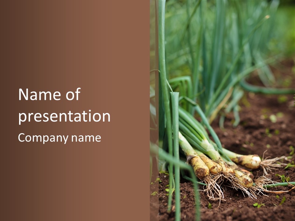 Ingredient Farm Nutrition PowerPoint Template