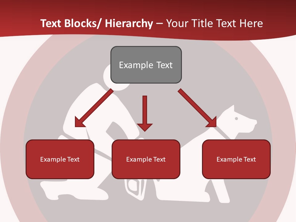Rule Sky Your PowerPoint Template